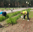 🌺 Экологический субботник - Межпоселенческая библиотека