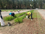 🌺 Экологический субботник